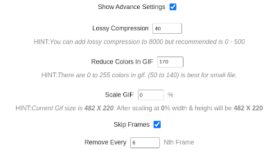 Check Advance Options in GIF Compressor